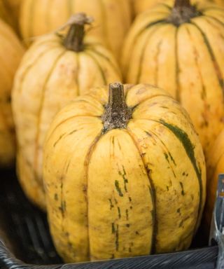 Delicata squash on a market stall