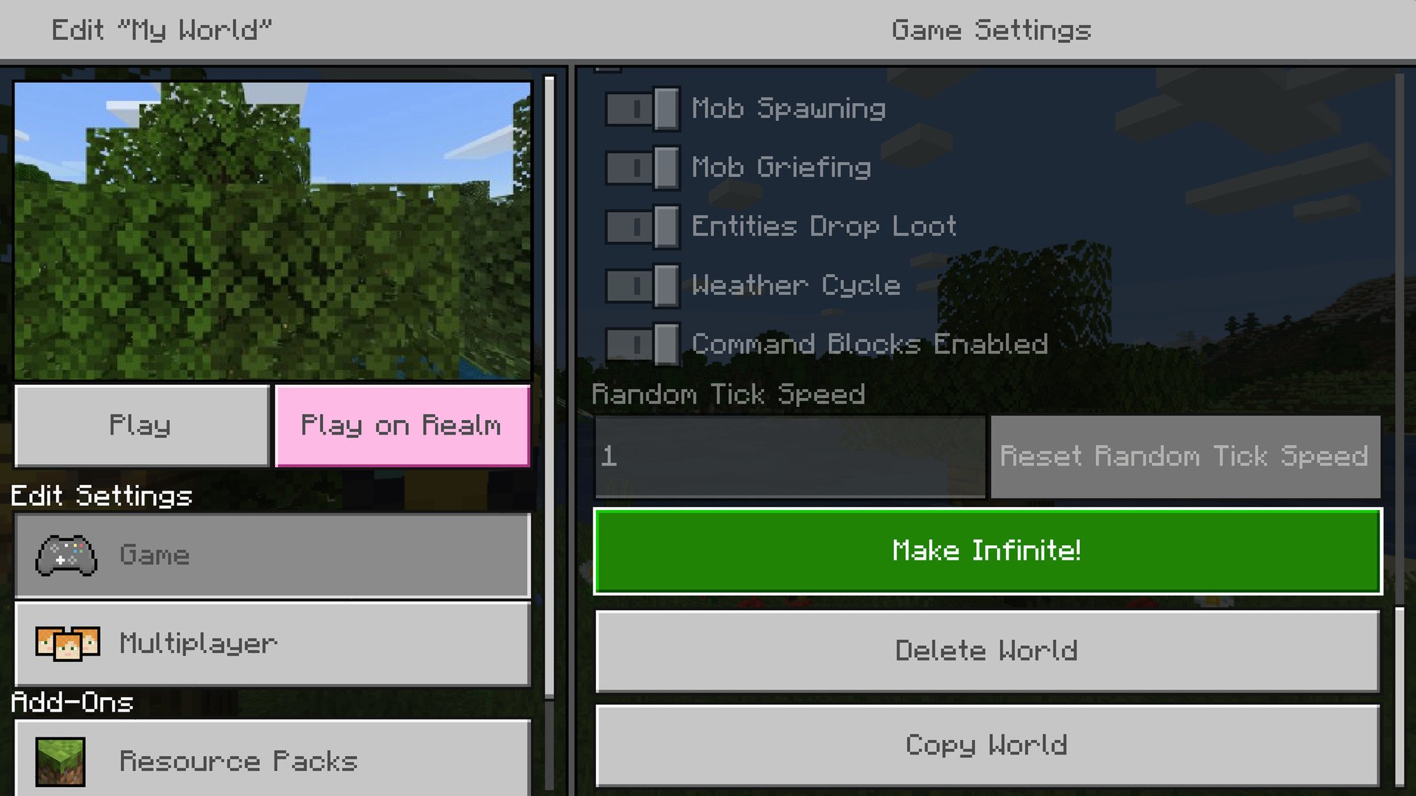 Minecraft "Make Infinite!" button