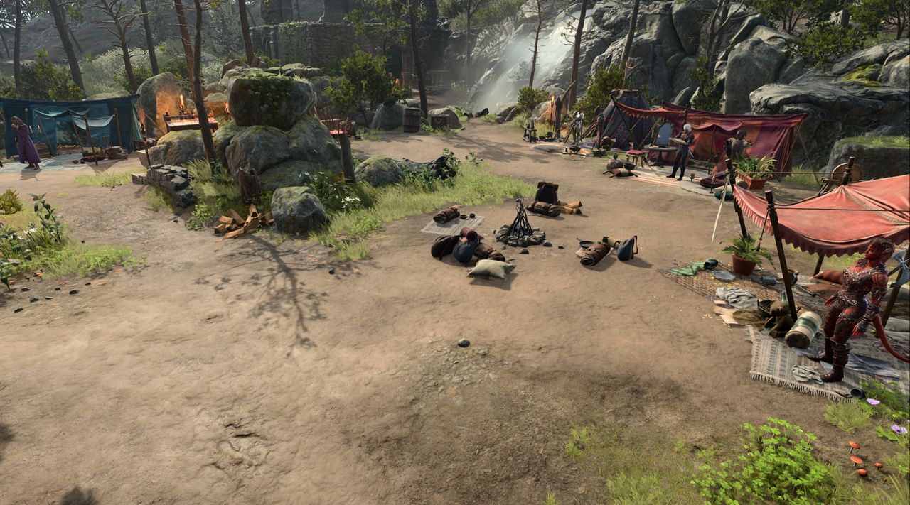 BG3 Wilderness camp