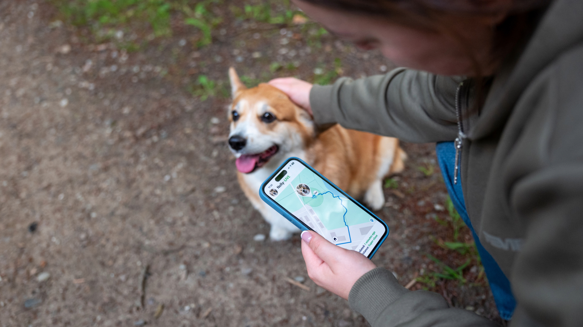 Side view of a person holding a phone with a pet tracker map on the screen, while crouching down to pet a dog on the floor