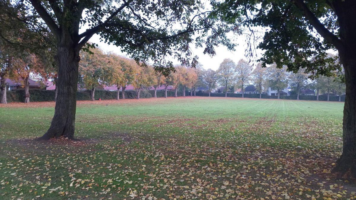 Colour replication is above-average even on distant subjects - check out the leaves in the distance.