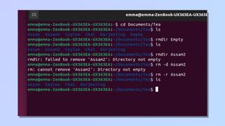 Screenshot showing how to remove directories in Linux - using Linux rm command