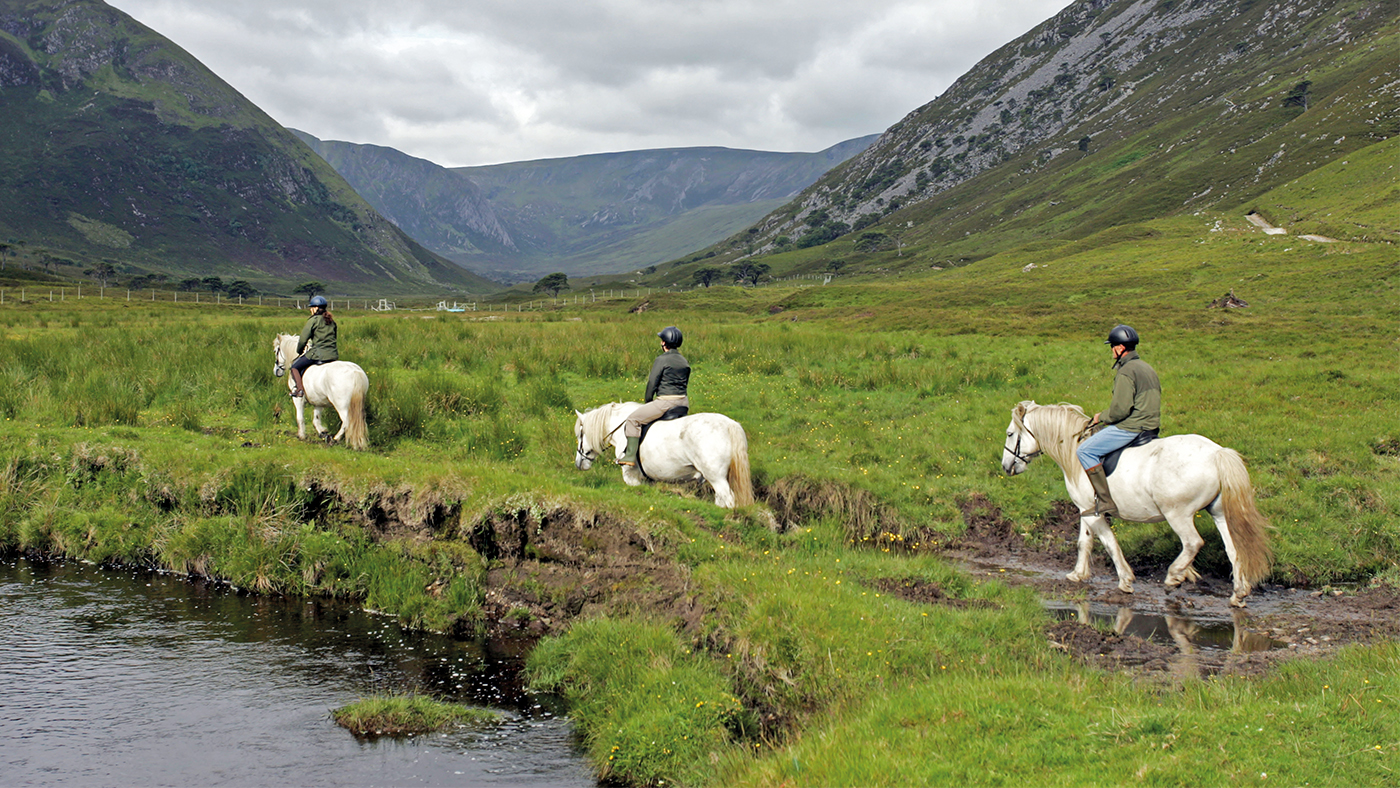 HAH311.ft_Scotlandparadise.box_b275c1_alamy-copy-1.jpg