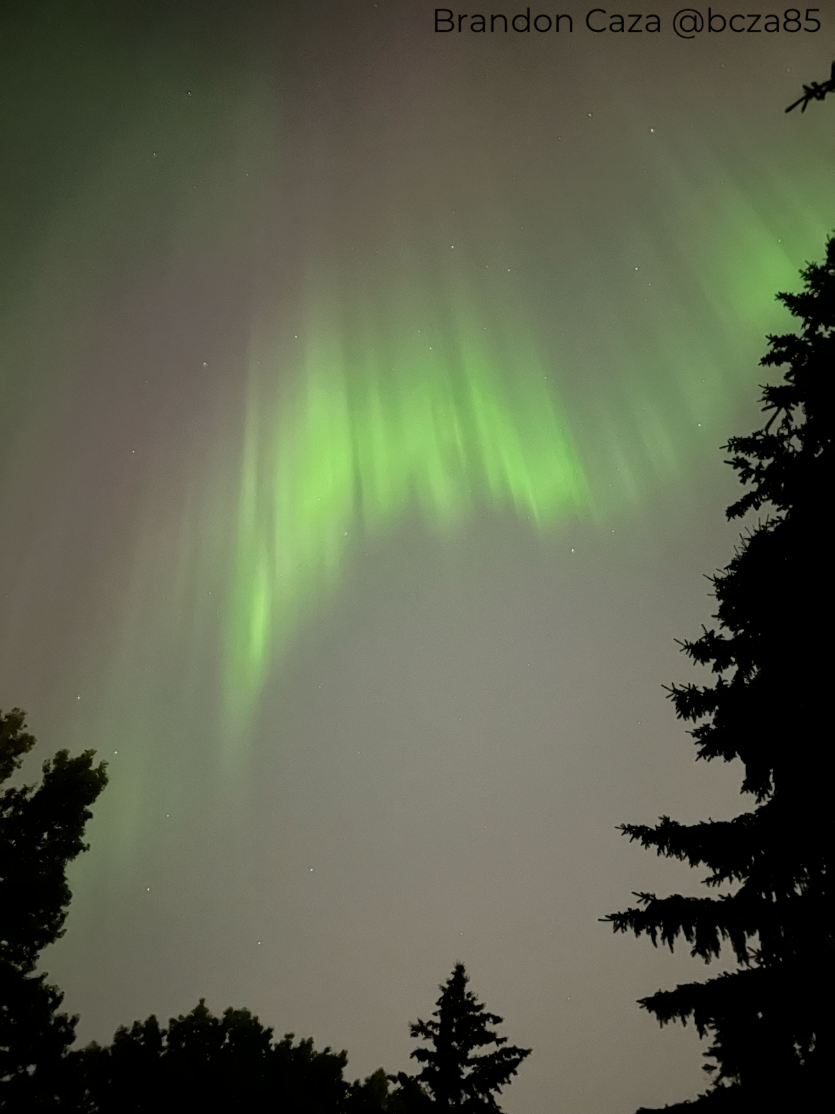 green auroras show as ribbons of green light stretching across the sky.
