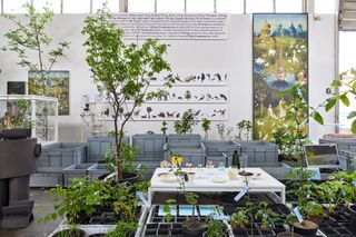 Studio Makkink and Bey Rotterdam installation with plants and water