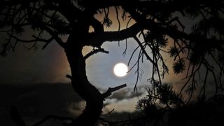 A tree is silhouetted against the full completed Annular Solar Eclipse on October 14, 2023 in Capitol Reef National Park, Utah.