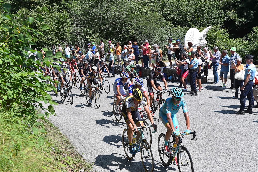The peloton in action during stage 12.