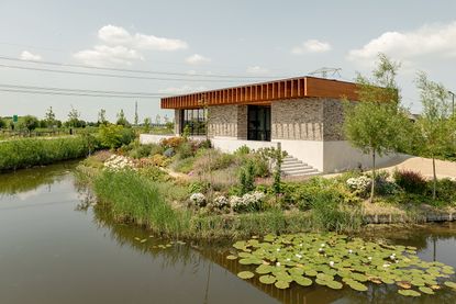 rotterdam house with timber roof