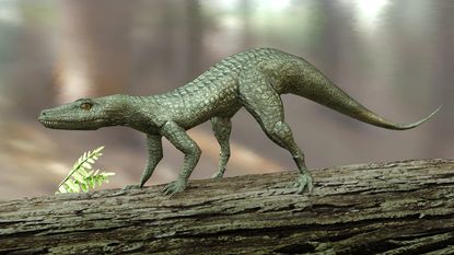 A 3-D computer illustration of Hesperosuchus, an extinct genus of crocodylomorph reptiles.