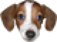 FrankerZ: