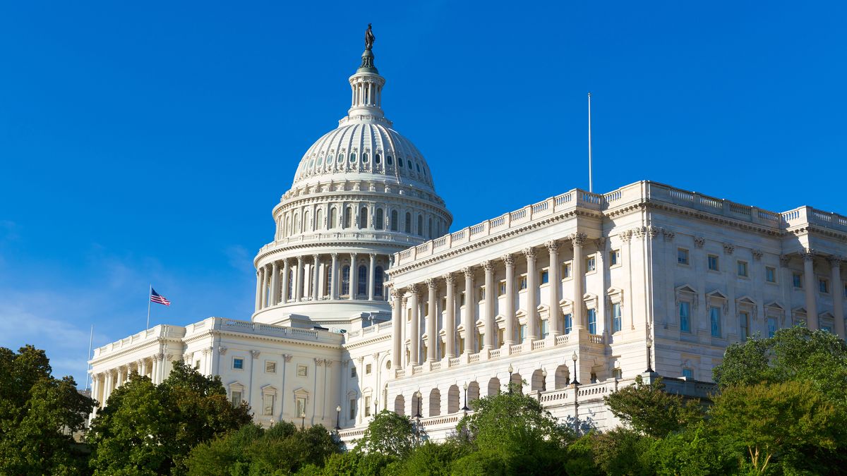 The Capitol building in Washington, DC