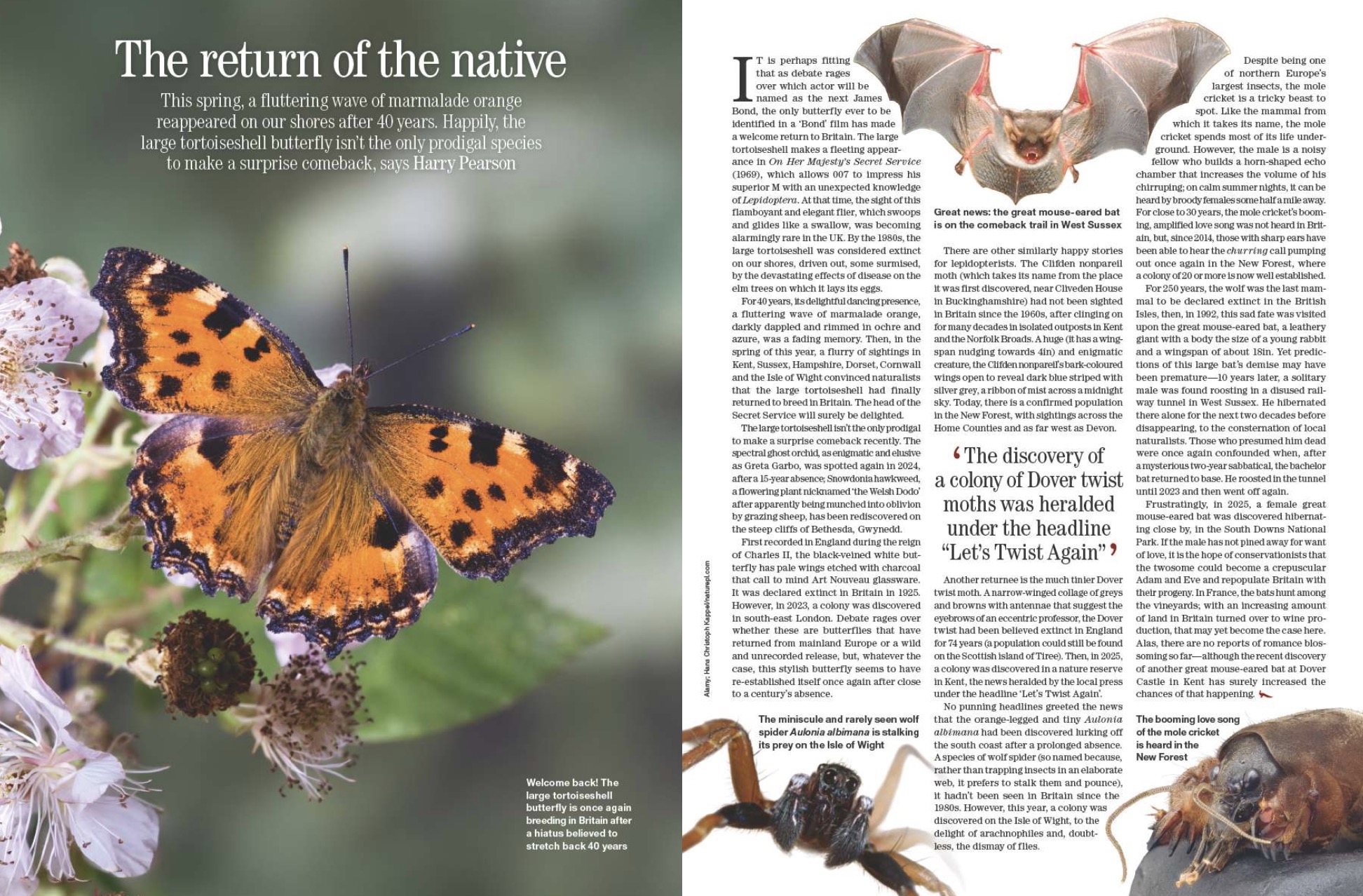 Spreads from Country Life September 30, 2026