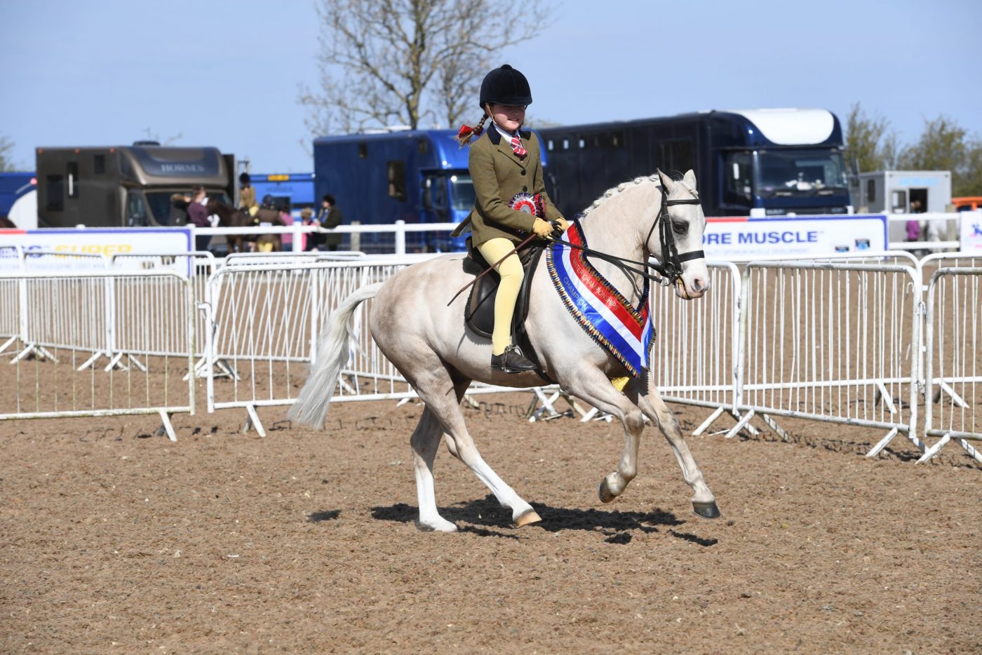Winter-Champs-18.045.2140769-scaled-e1618848646366.jpg