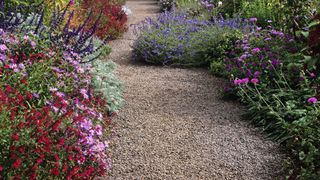 Front garden path with bright flower bed border