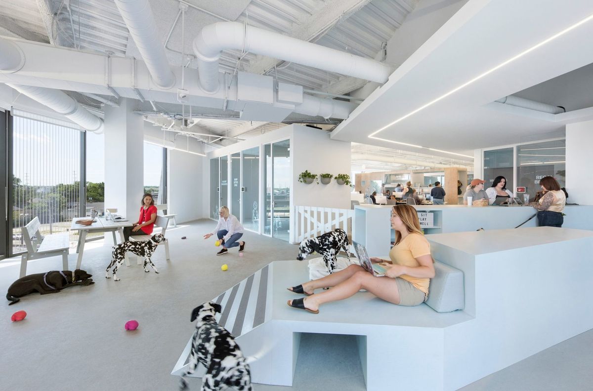 20 cool office designs