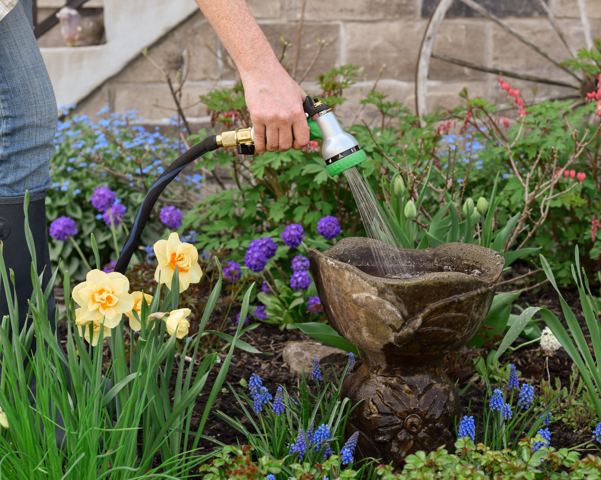 Gardener cleaning bird bath prevent mosquitoes