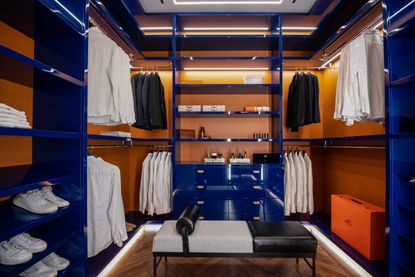 a blue lacquered closet with shoe storage