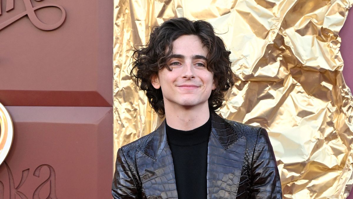 Timothée Chalamet Looks Like a Walking Chocolate Bar at the 'Wonka ...