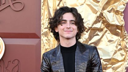 Timothée Chalamet's outfit at the 'Wonka' premiere.
