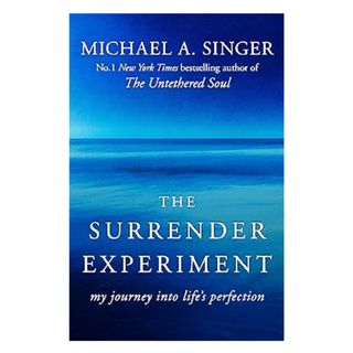 The Surrender Experiment: My Journey into Life's Perfection