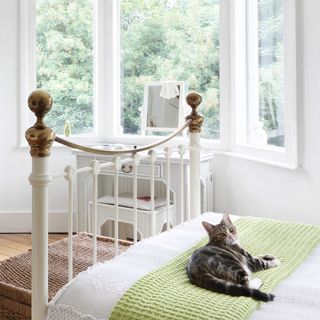 bedroom with white walls and wooden floor and bay window and cat