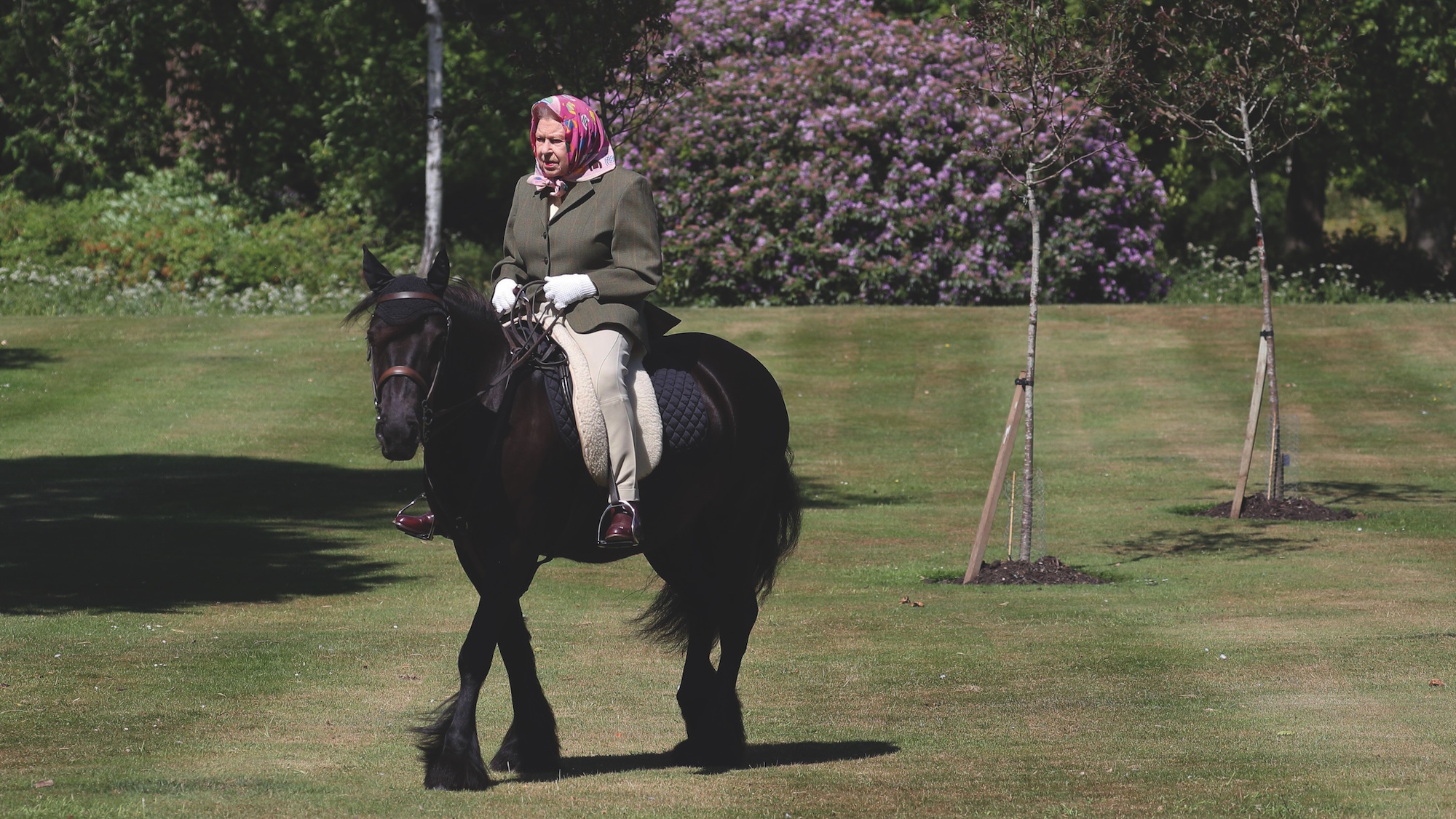 Queen Elizabeth II rides Balmoral Fern, a 14-year-old Fell Pony, in Windsor Home Park over the weekend. This was in 2020, 6 years before the Queen's 100th birthday.