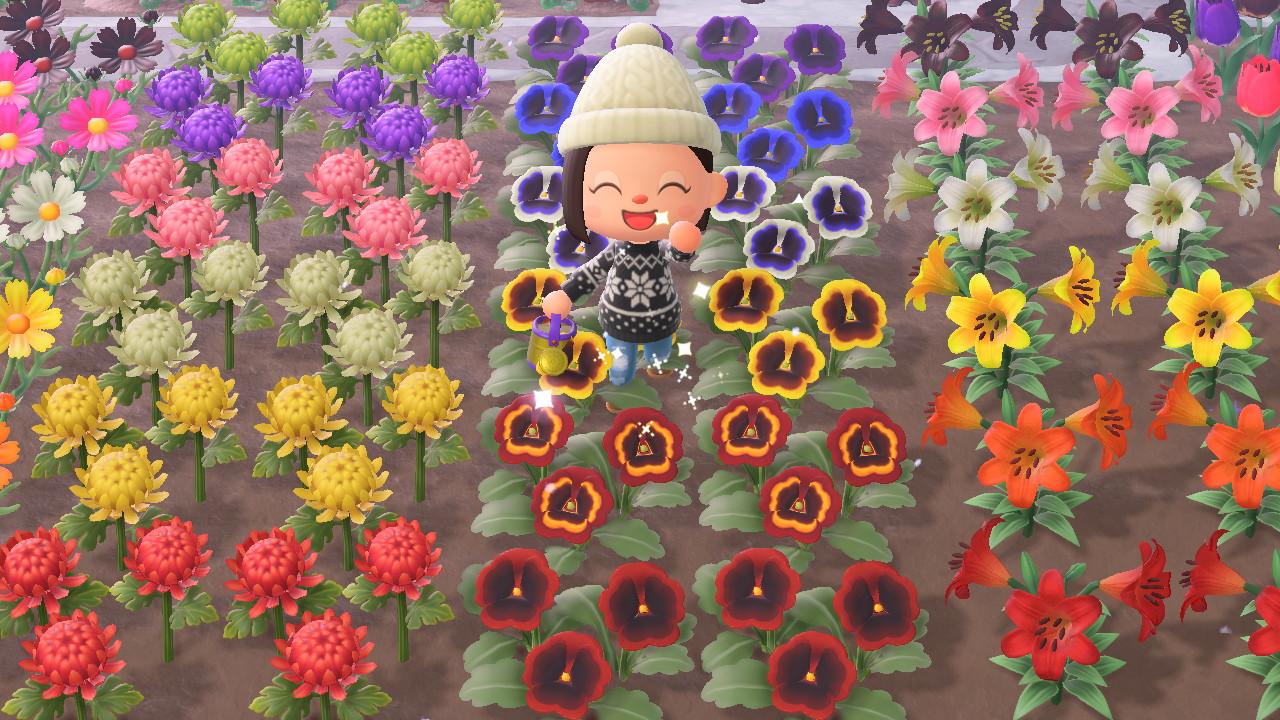 How to create hybrid flowers in Animal Crossing New Horizons