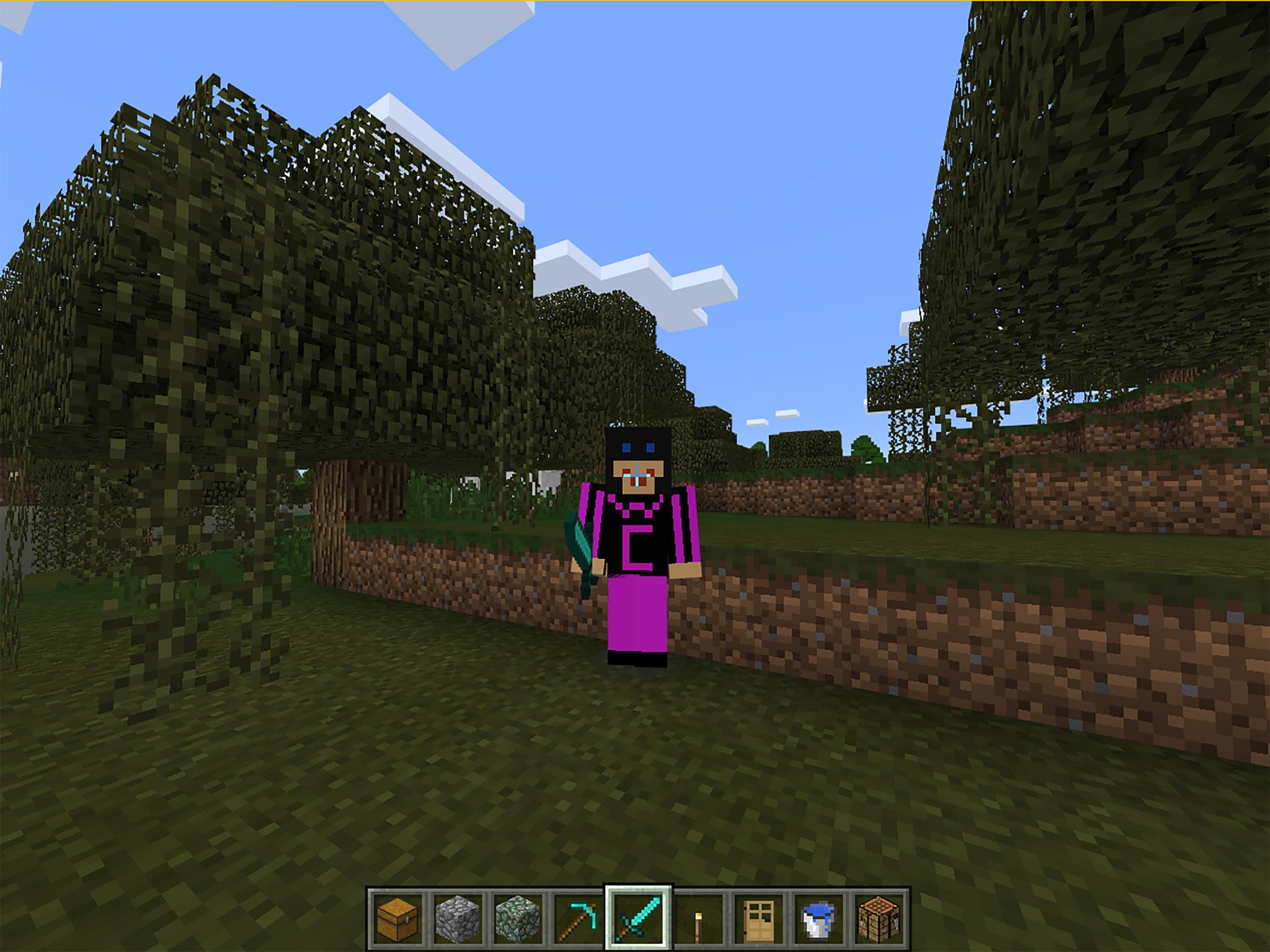 Custom Minecraft Skins