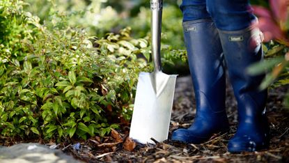 how to wake up plants after winter