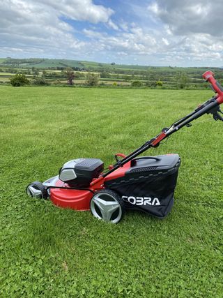 Cobra MX51S80V lawn mower on a lawn