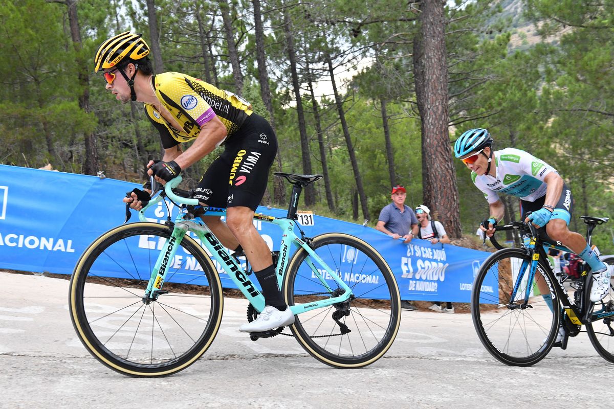 Primoz Roglic (Jumbo-Visma)
