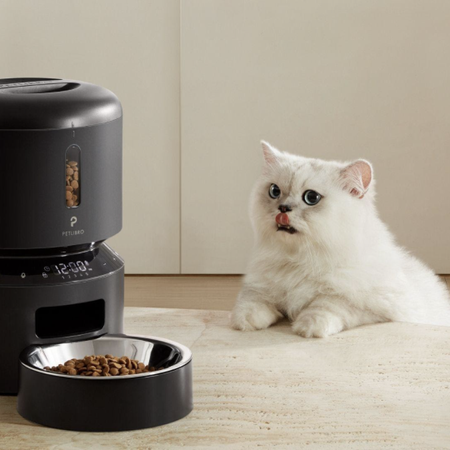 White cat sitting at pet food dispenser