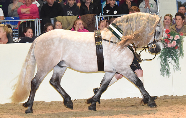 Equifest 2018