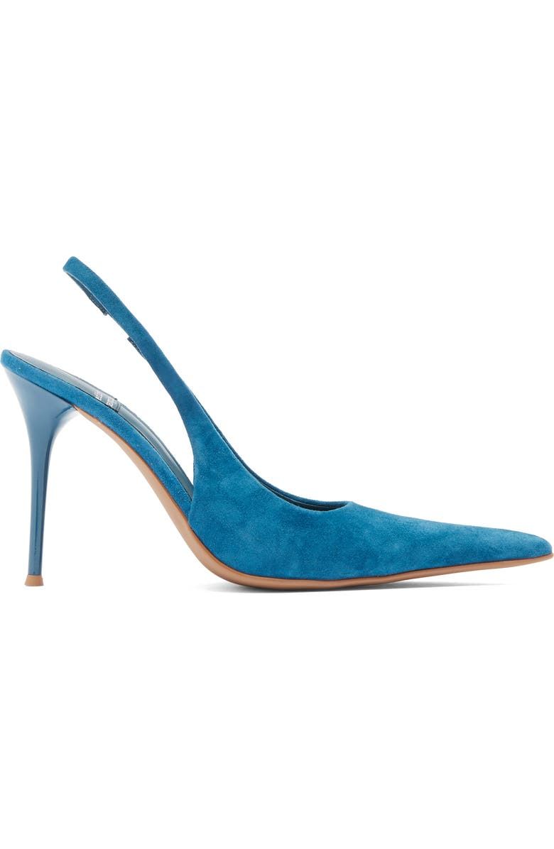 You Wish Slingback Pointed Toe Pump