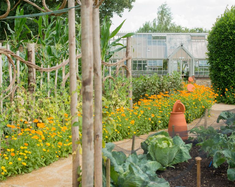 Sustainable Garden Ideas: 28 Ways To An Eco-friendly Garden | Homes ...