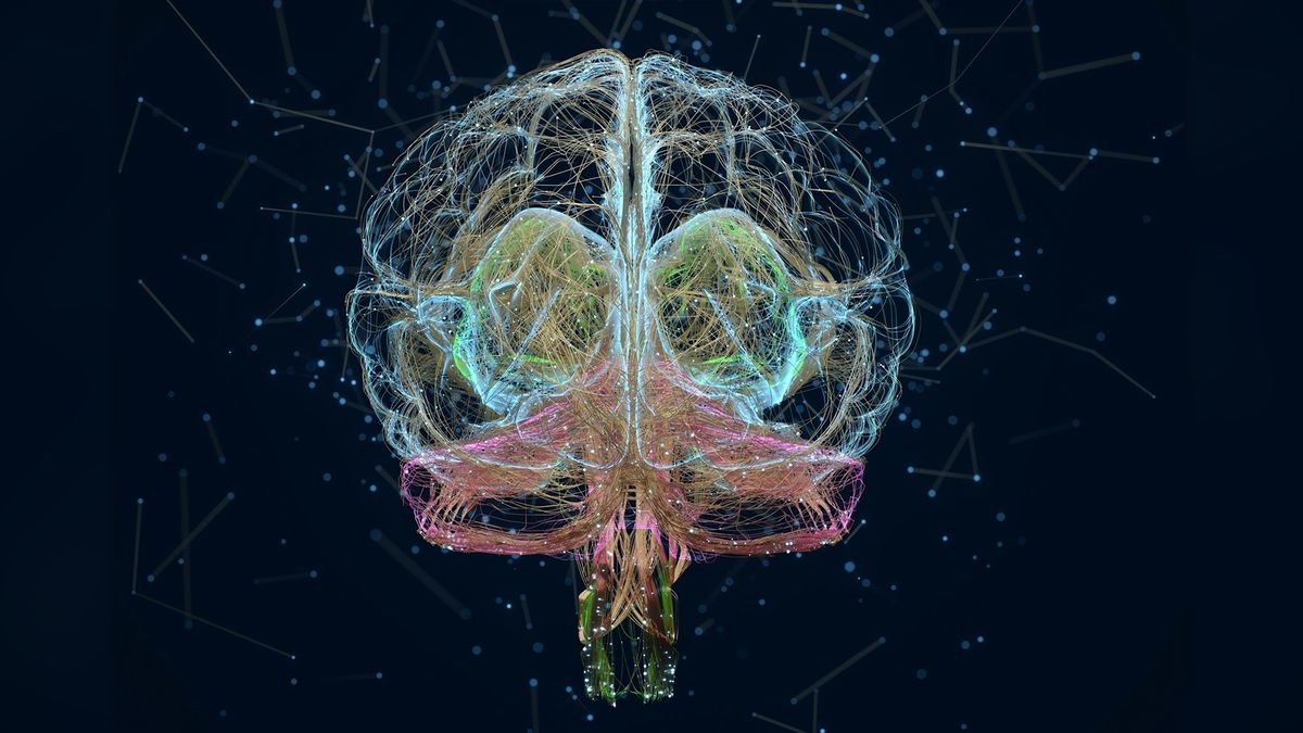 Illustration of neural networks in the human brain