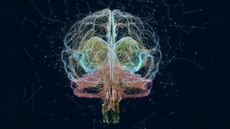 Illustration of neural networks in the human brain