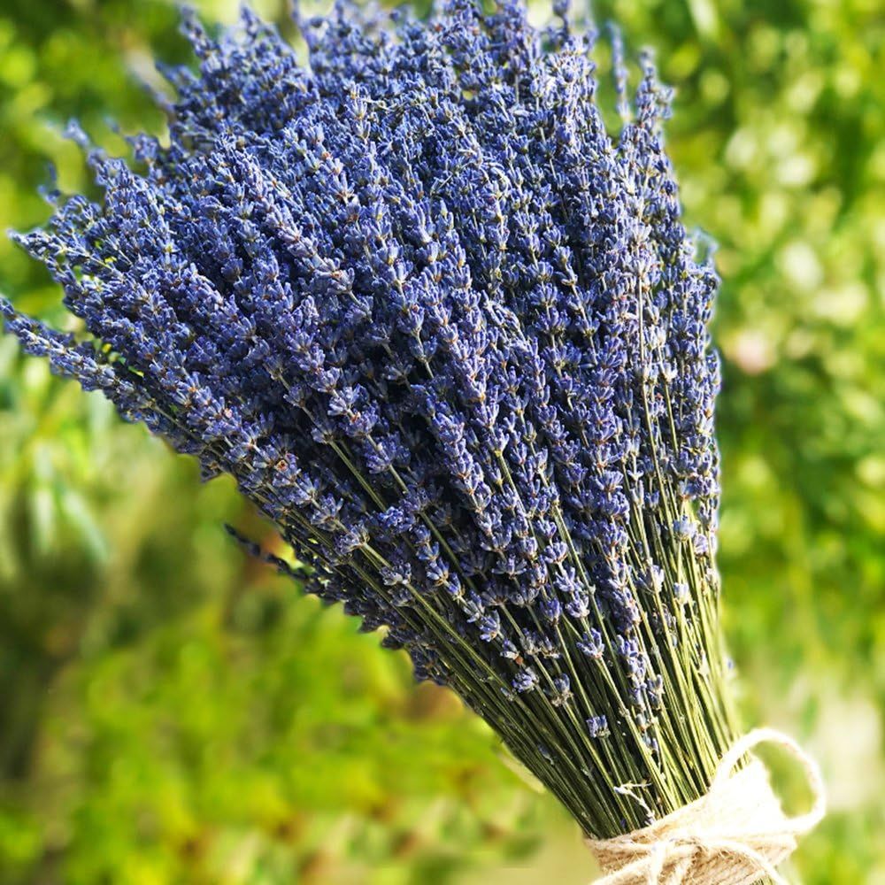 Amazon dried lavender