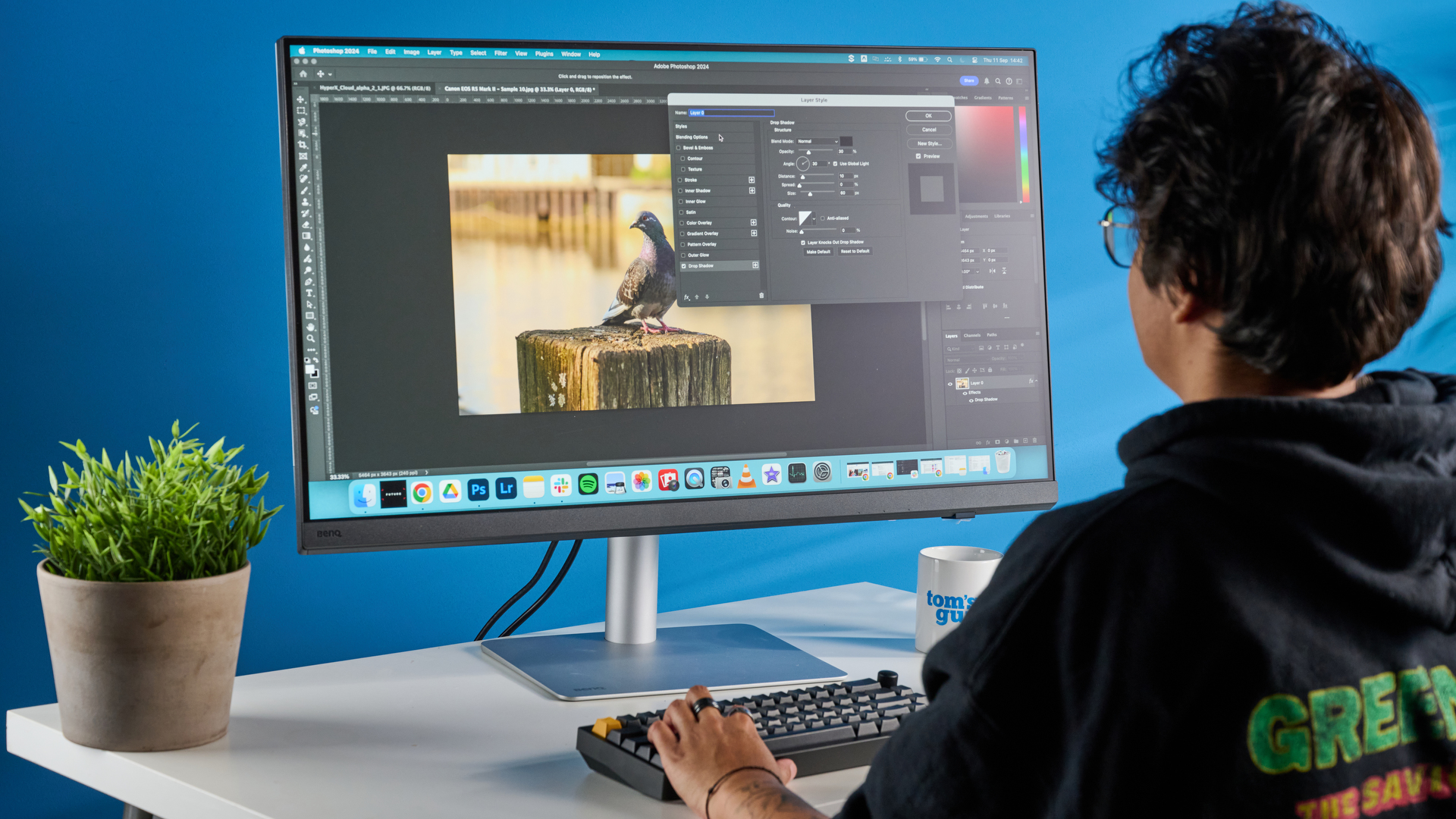 A photo of the BenQ PD3226G monitor in a blue-walled studio
