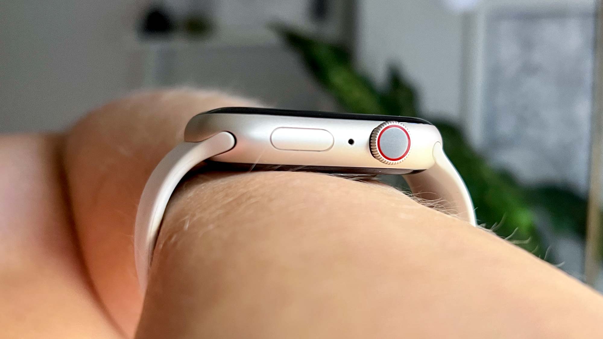 Se muestra el Apple Watch Series 8 en la muñeca
