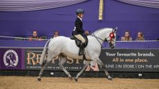 A grey working hunter pony trots around the HOS area wearing his re rosette and with his rider wearing a navy jacket.