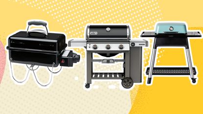 Best gas BBQ: Weber Go Anywhere Gas, Weber BBQ and Everdure Force 2 in mint