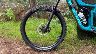 Front wheel of bike with Schwalbe Tacky Chan tyre and grass behind
