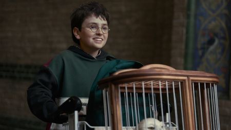 Harry and Hedwig getting ready to take the train to Hogwarts. 