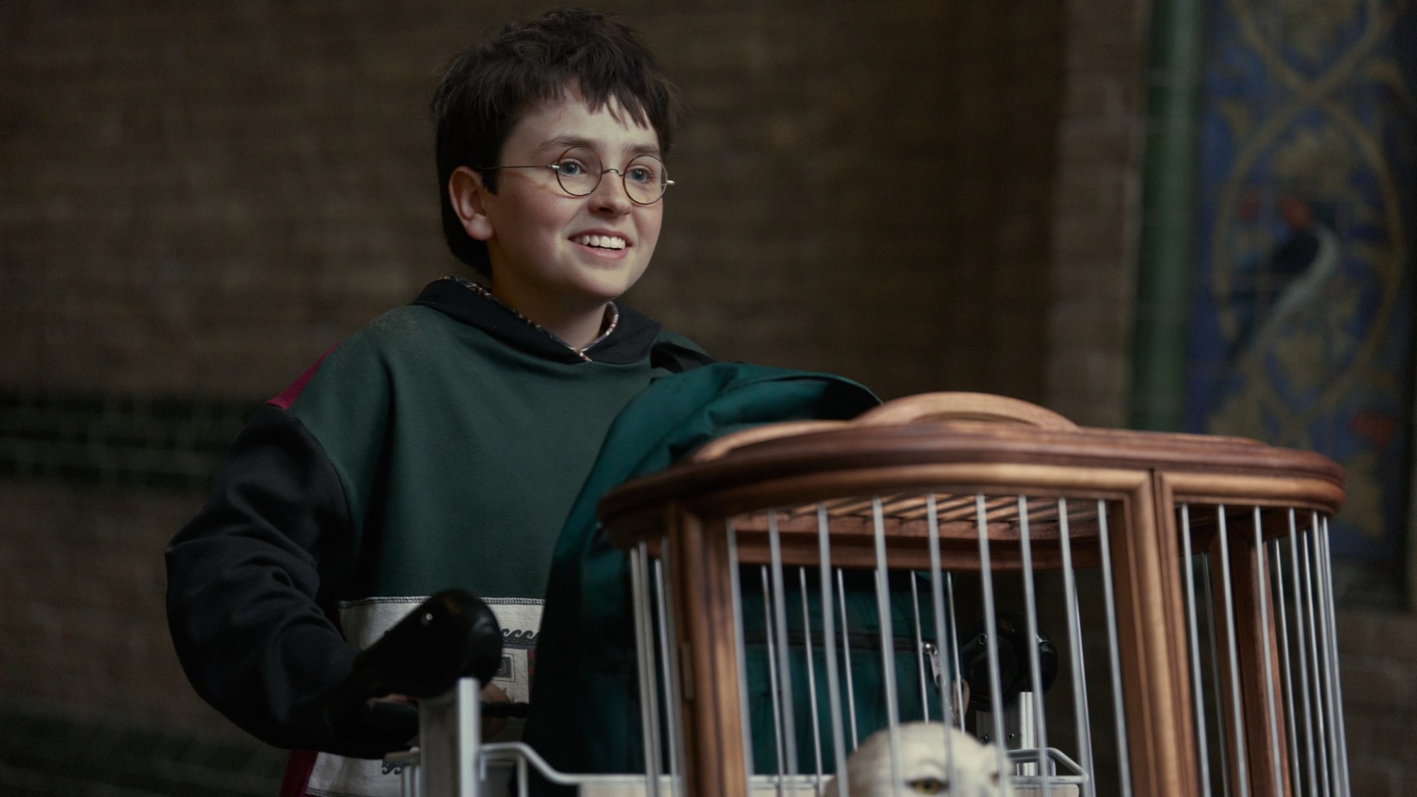 Harry and Hedwig getting ready to take the train to Hogwarts. 