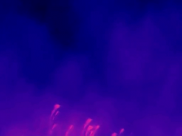 Thermal Master DV2 sample.