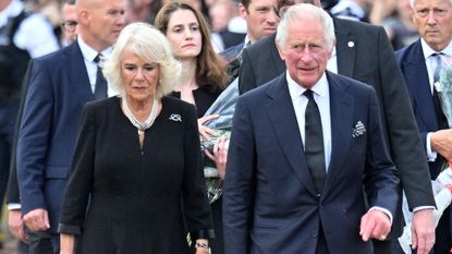 What does queen consort mean? The answer revealed; seen here are King Charles III and Camilla, Queen Consort arriving at Buckingham Palace