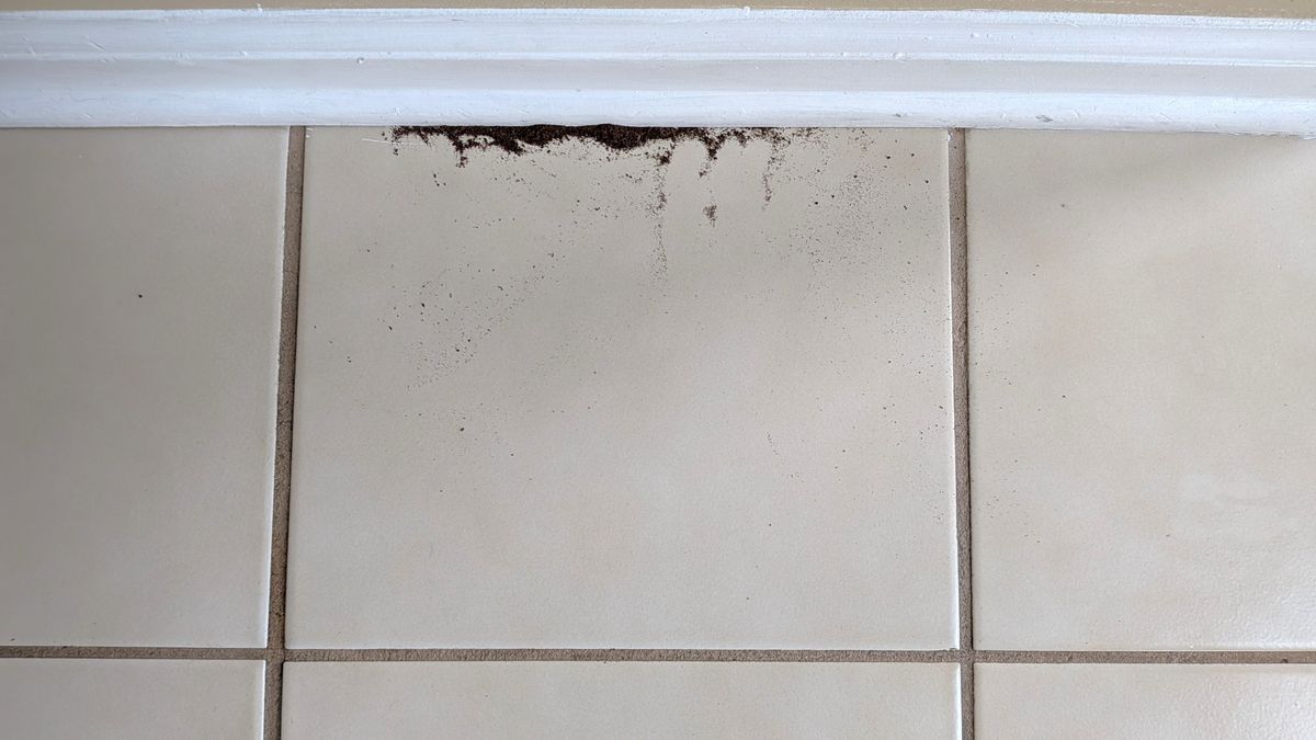 Before