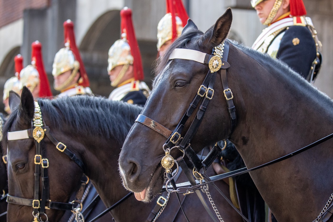 The-Household-Cavalry-Mounted-Regiment-waiting-to-be-inspected.jpg