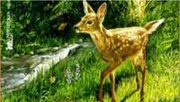 He (Bambi, A Life In The Woods)